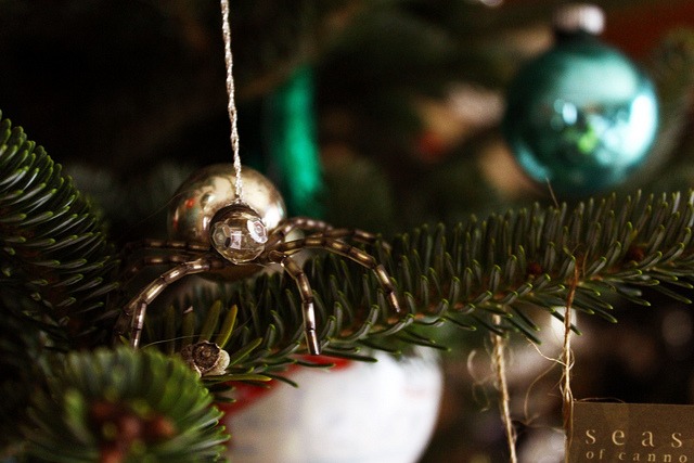 tradiciones de Navidad, tradiciones de Navidad del mundo, arañas, Ucrania